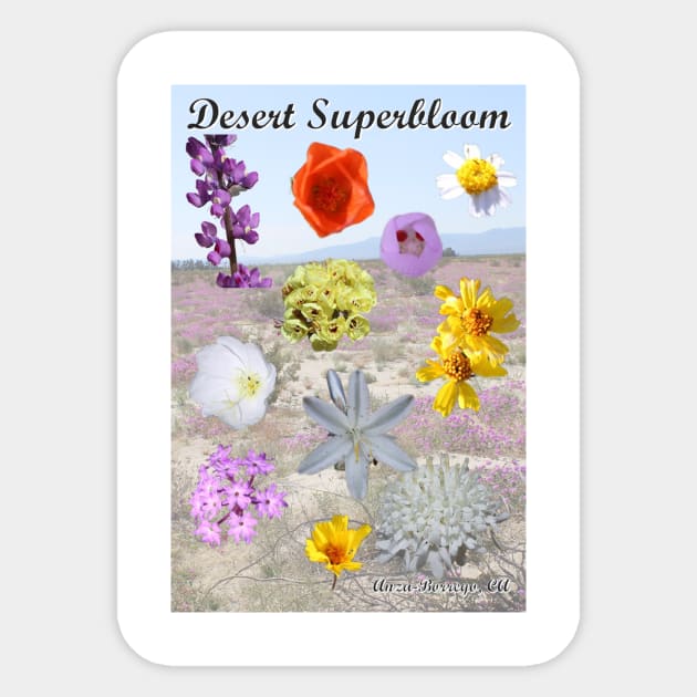 California Desert Wildflower Superbloom Sticker by Battlefoxx Living Earth